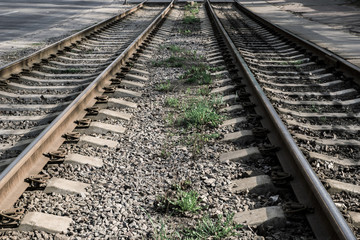 Fototapeta premium tram ways