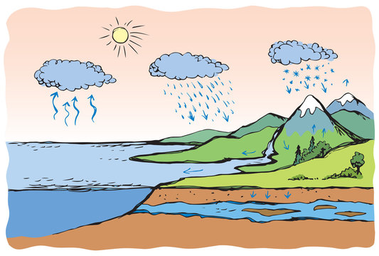 Vector schematic water cycle in nature