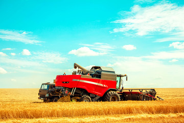 harvester on wheat field pouring grain into the truck