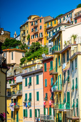 Fototapeta na wymiar Vertical View of a Street in the Colored Town of Riomaggiore