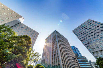 Obraz premium 新緑とビル群