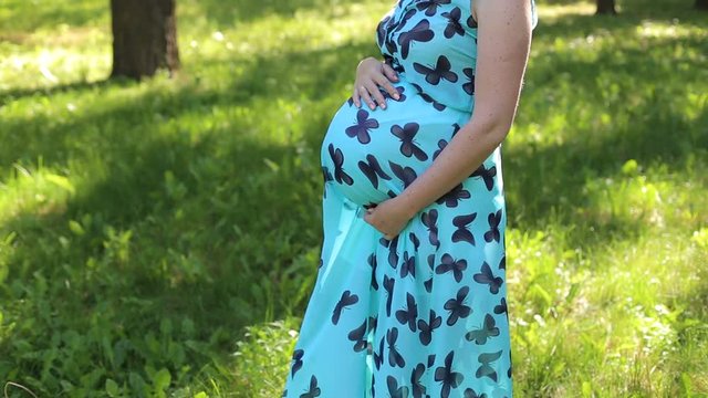 Close-up on tummy of pregnant woman enjoying summer park, wearing blue dress with butterflies, outdoors, new life concept.