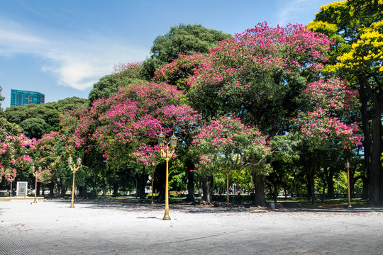 General San Martin Plaza in Retiro - Buenos Aires, Argentina
