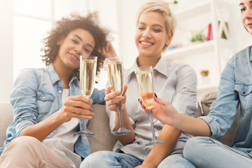Friends toasting with wineglasses at home