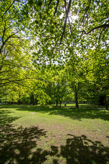 Tiergarten in Berlin, Germany