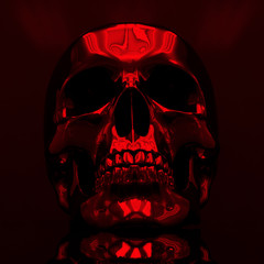 Human Skull Art Image