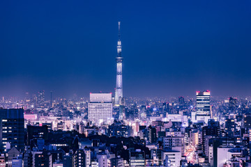 Fototapeta na wymiar 東京都市部の夜景