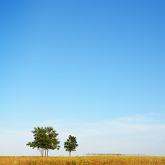 Obraz premium Minimal summer landscape