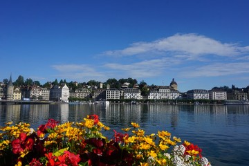 Blue lake in small town in Switzerland with houses and boats and swans and flowers