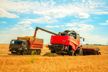 harvester on wheat field pouring grain into the truck