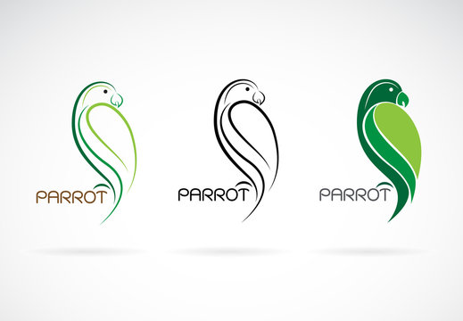 Vector of a parrot design. Bird Icon., Wild Animals.