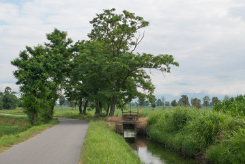 paesaggio di campagna