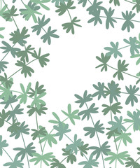 Vector poster with branches and leaves. Isolated hand drawn illustration on white background