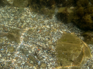 Undersea