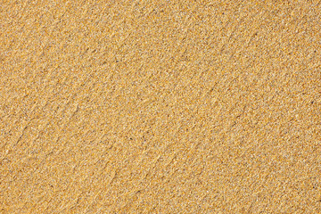 Fine sea sand texture on beach, background