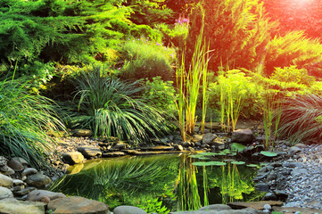 Beautiful view on cute backyard in sunny day, fresh green grass lawn in sunlight, landscaping in the garden