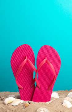 pink flip flops with blue background and shellfish