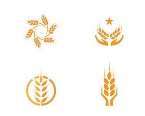 wheat Logo Template