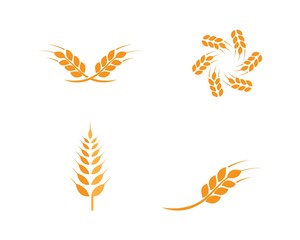 Fototapeta na wymiar wheat Logo Template