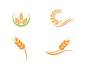 wheat Logo Template