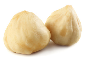 hazelnuts isolated on a white background. macro