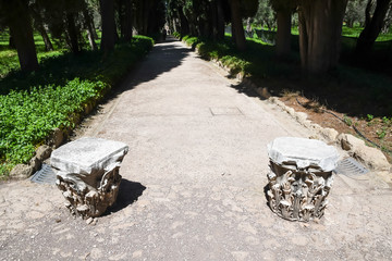 ハドリアヌスの別荘（ヴィッラ・アドリアーナ）の中の道【ティヴォリ、イタリア】 