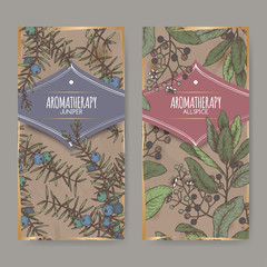 Two color labels with Juniperus communis aka juniper and Pimenta dioica aka allspice sketch on vintage background.
