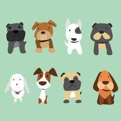 dogs vector collection design