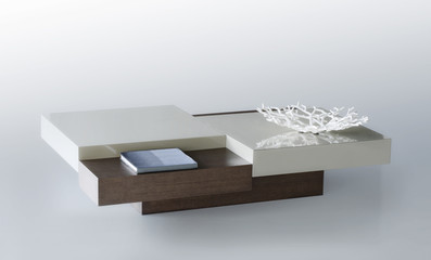 Modern living room table isolated