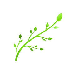 Vector Wateroclor Texture Green Plant, Floral Design Element Isolated on White Background.
