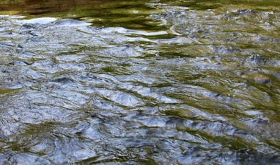 The water of the flowing creek on a close up view.