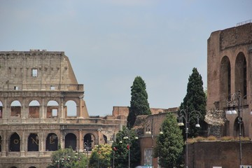 Fototapeta premium Colosseum Rome 