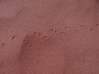 Red Earth Sand Australia Northern Territory