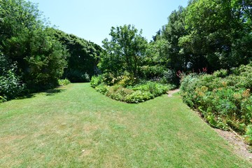 Obraz premium An English country garden in summertime 