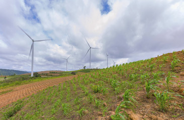 Clean energy with wind turbine