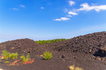  Landscapes of Etna, Sicily ,Italy.