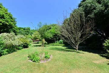 Fototapeta premium An English country garden in summertime. 