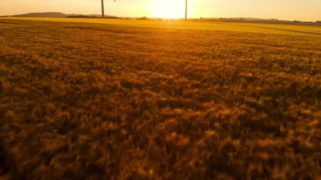 Aerial reveal over farm crops moving towards two large wind turbines at sunrise