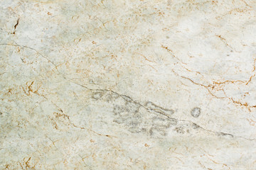 The luxury of white marble texture and background for design pattern artwork.