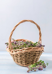 Fototapeta na wymiar flowering oregano in a basket on a wooden table