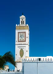 Photo sur Plexiglas Algérie Djamaa al-Djedid mosque in Algiers, Algeria