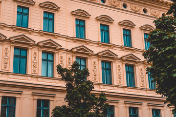 orange residential facade with tree in the foreground