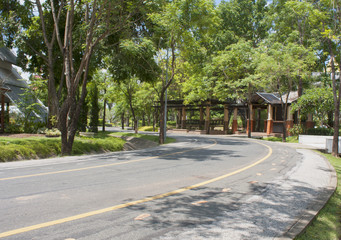 Road in the park background