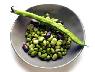 Vicia faba Fava Боб садовый Fave bean Bob obecný Ackerbohne Bób Bóndabaunir Κουκιά Բակլա باقلا 蚕豆 누에콩 बकला פול Bathët 