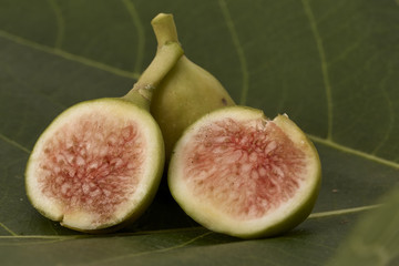 Fresh green figs on white background