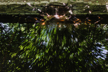 Long exposure photo of garden stream with colorful reflection