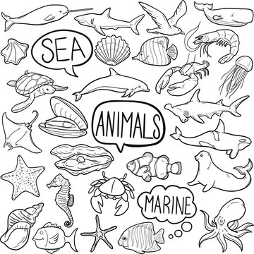 Sea Animals Wildlife Doodle Icon Hand Draw Line Art