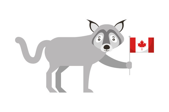 wolf holding canadian flag character