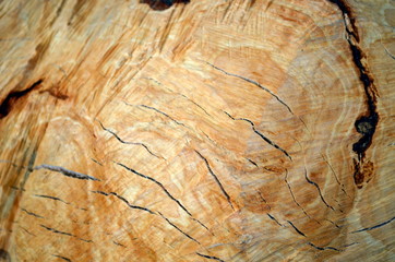 Hintergrund rissiges Holz