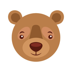 cute head portrait bear grizzly